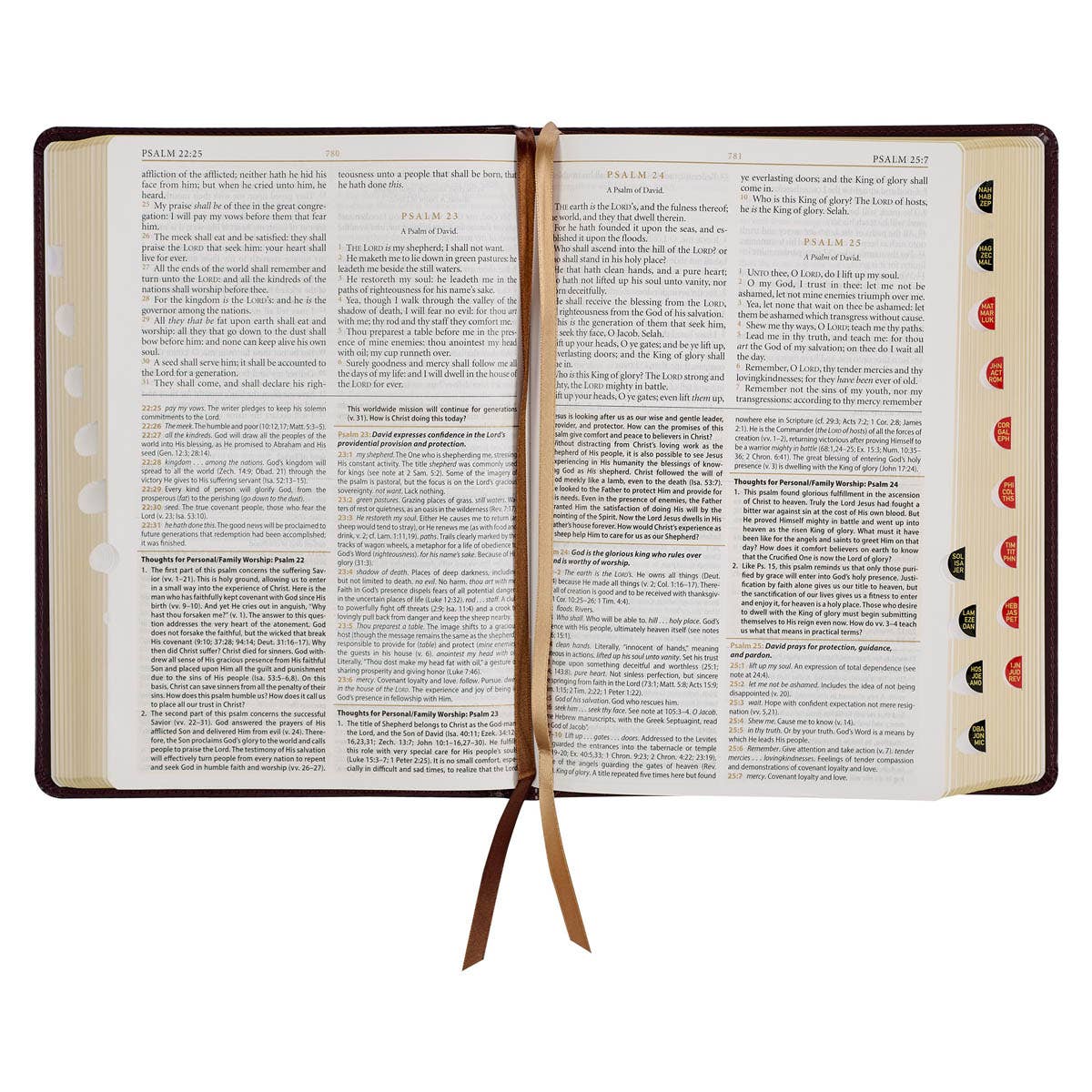KJV Study Bible LP Faux Leather, Burgundy/Toffee