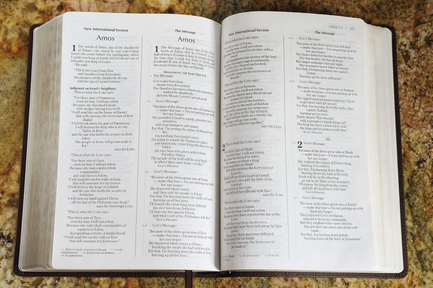 NIV, The Message, Parallel Bible, Leathersoft, Brown - by Zondervan (Leather Bound)
