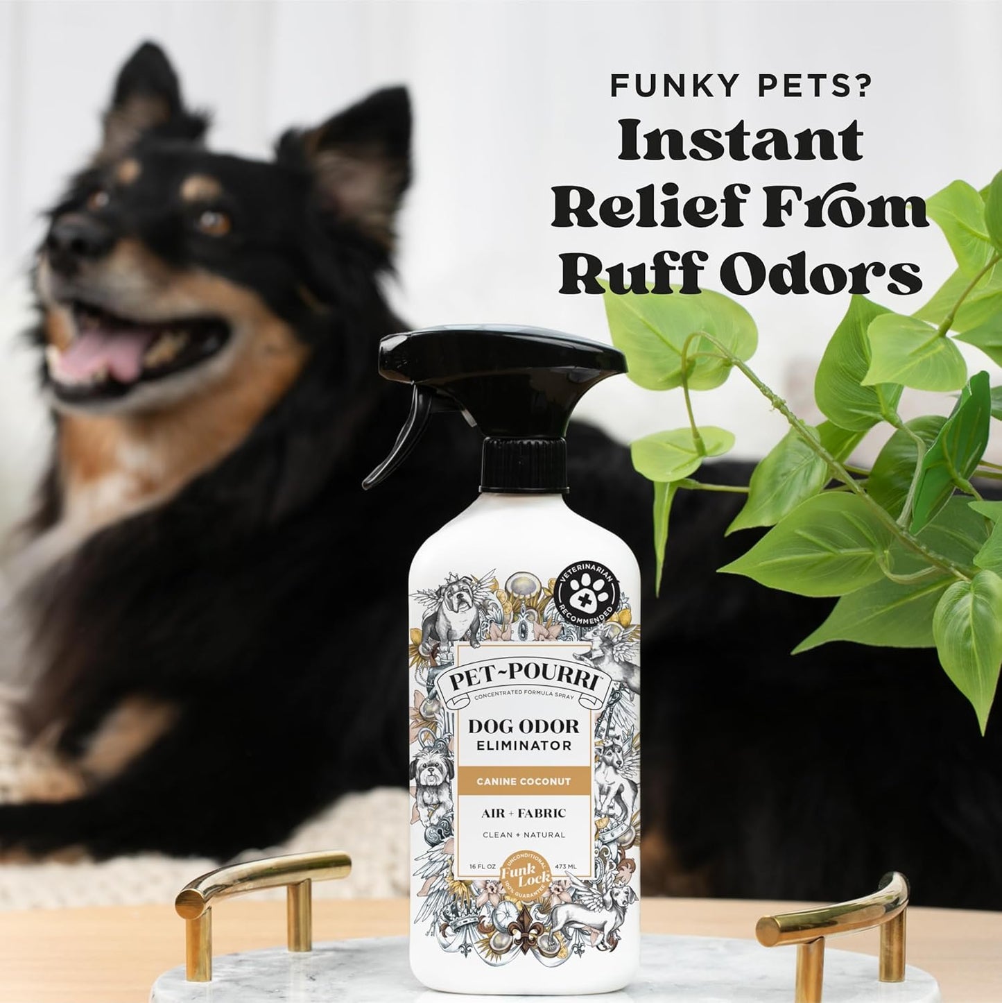 Pet-Pourri Pet Odor Air + Fabric Odor Freshener Spray, Canine Coconut