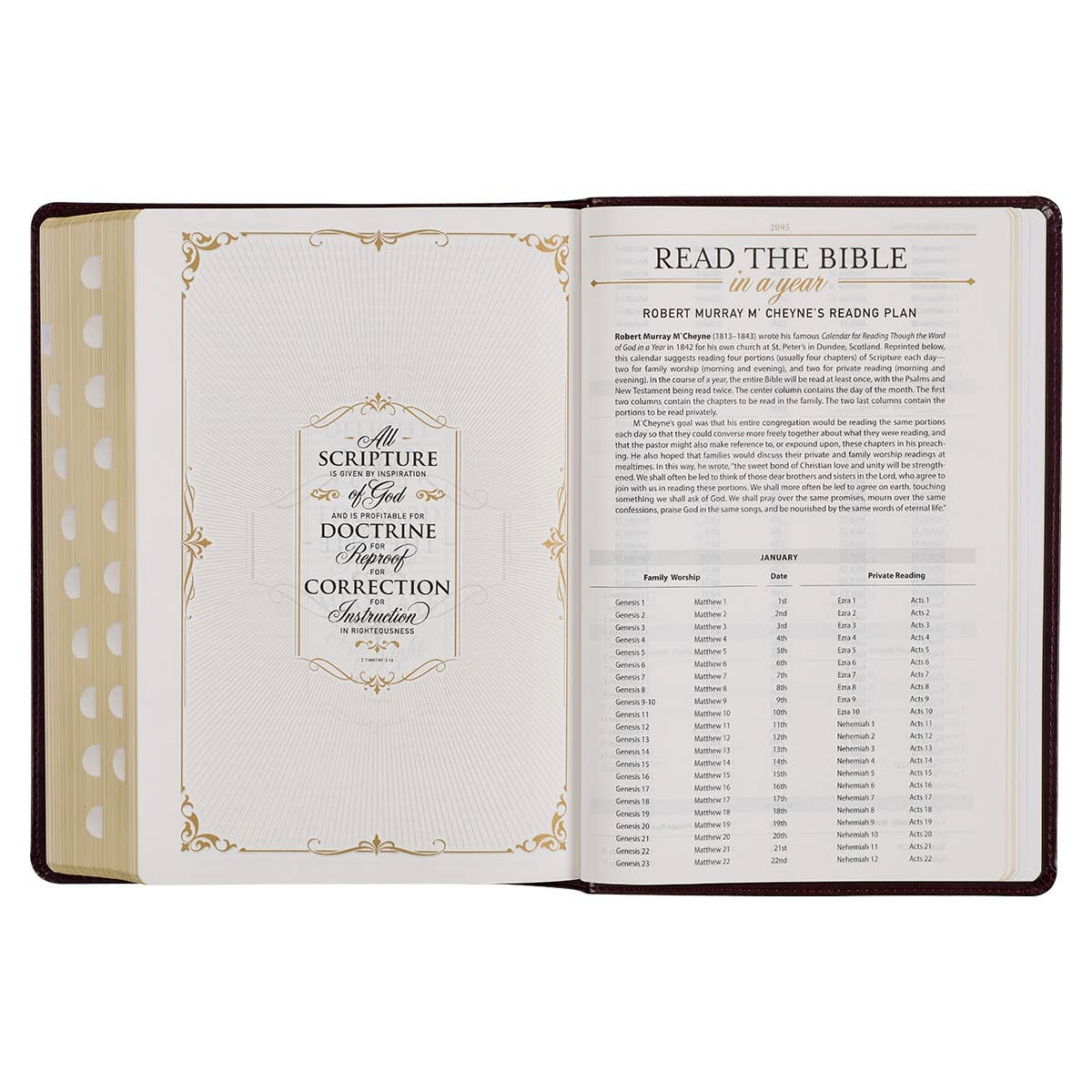 KJV Study Bible LP Faux Leather, Burgundy/Toffee