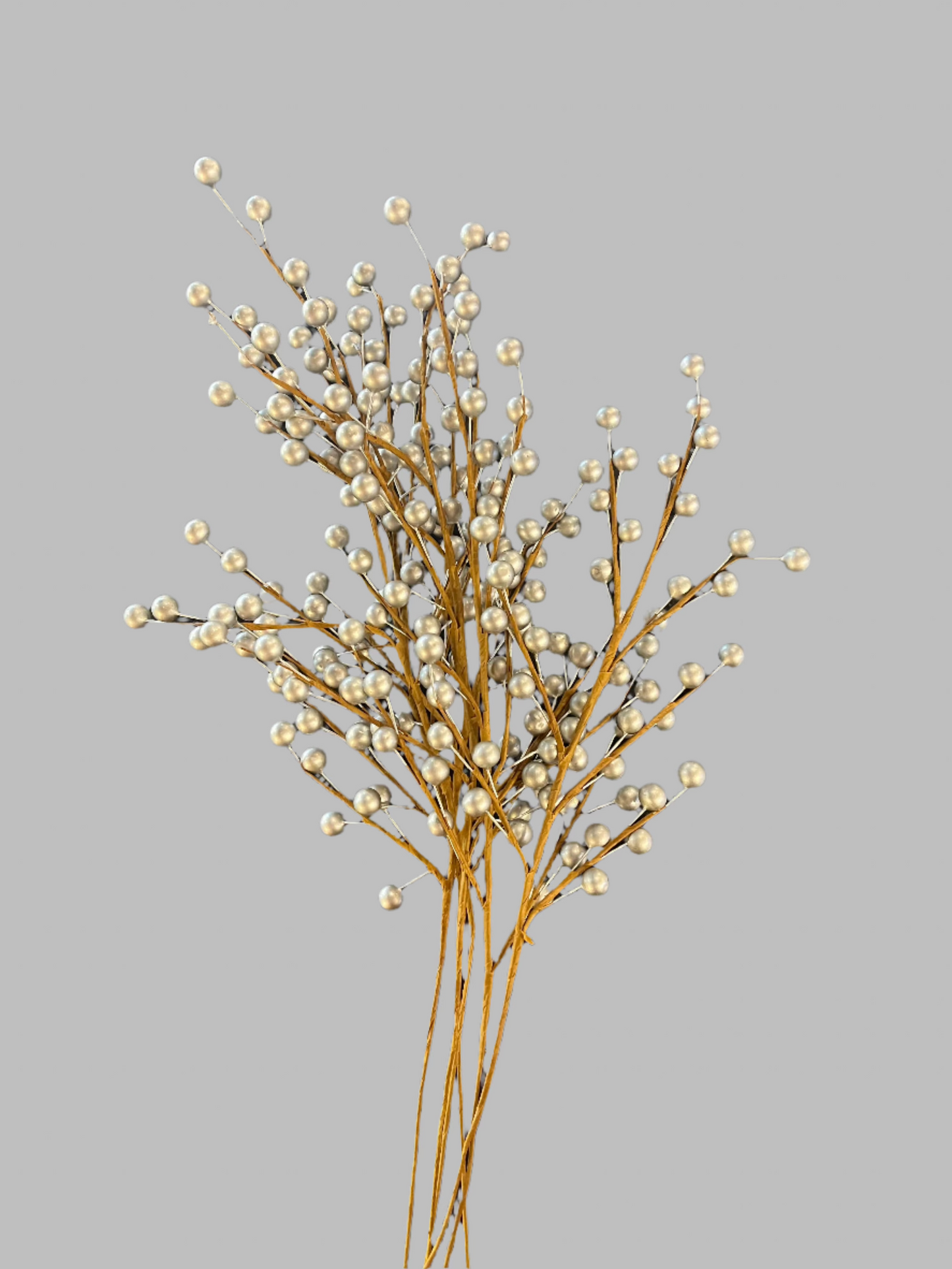 Silver Winterberries