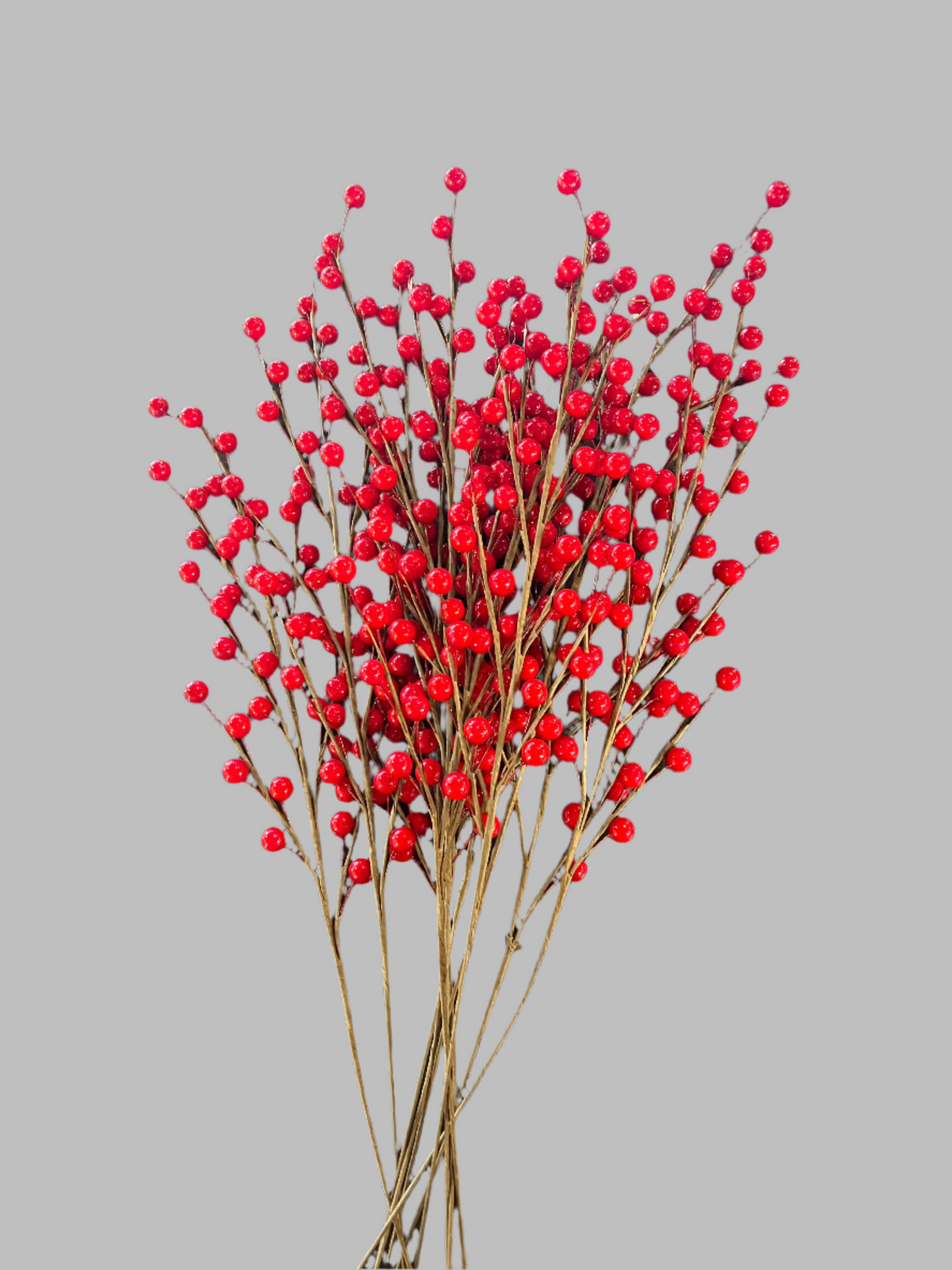 Red Winterberries