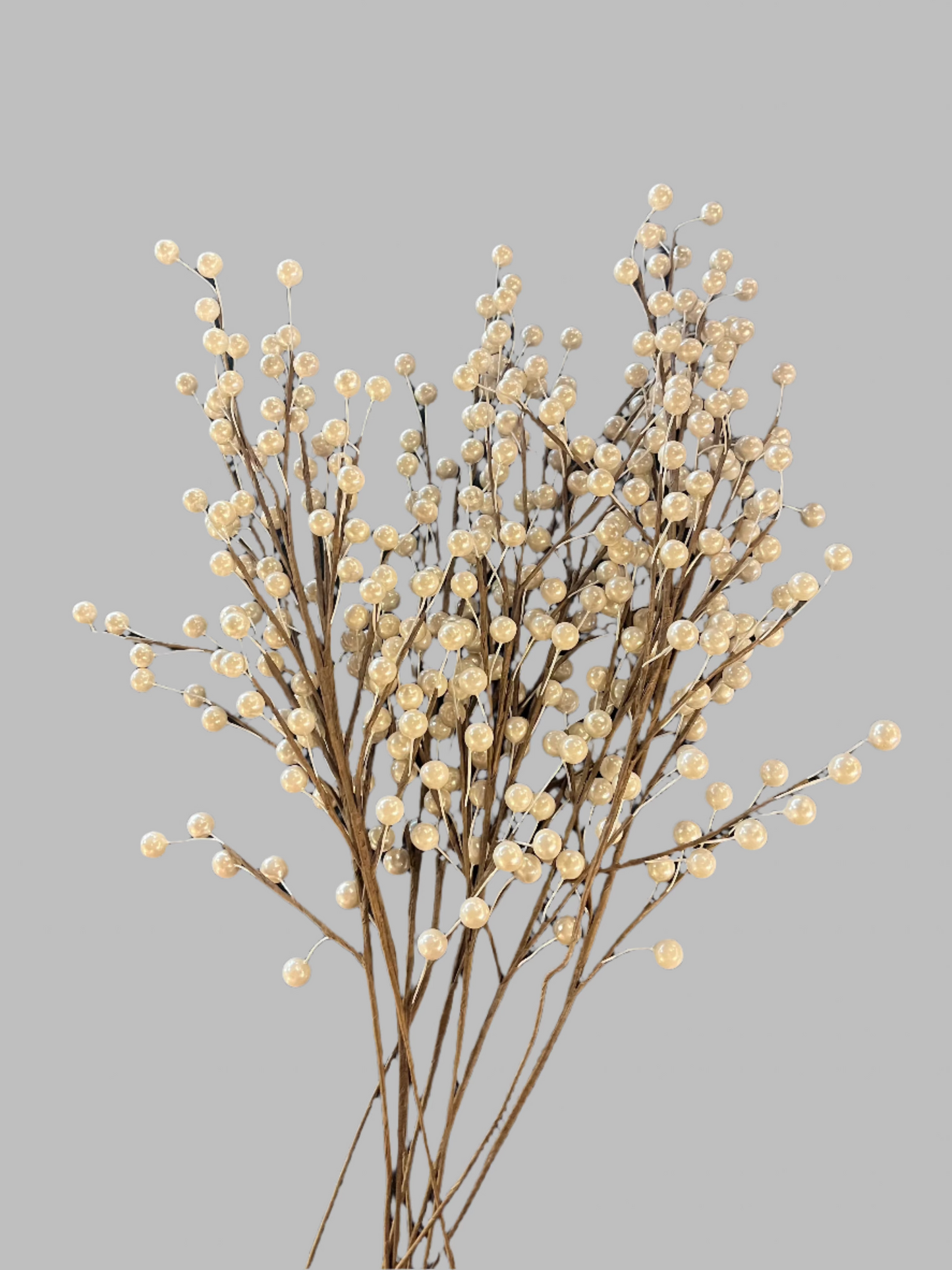 White Winterberries
