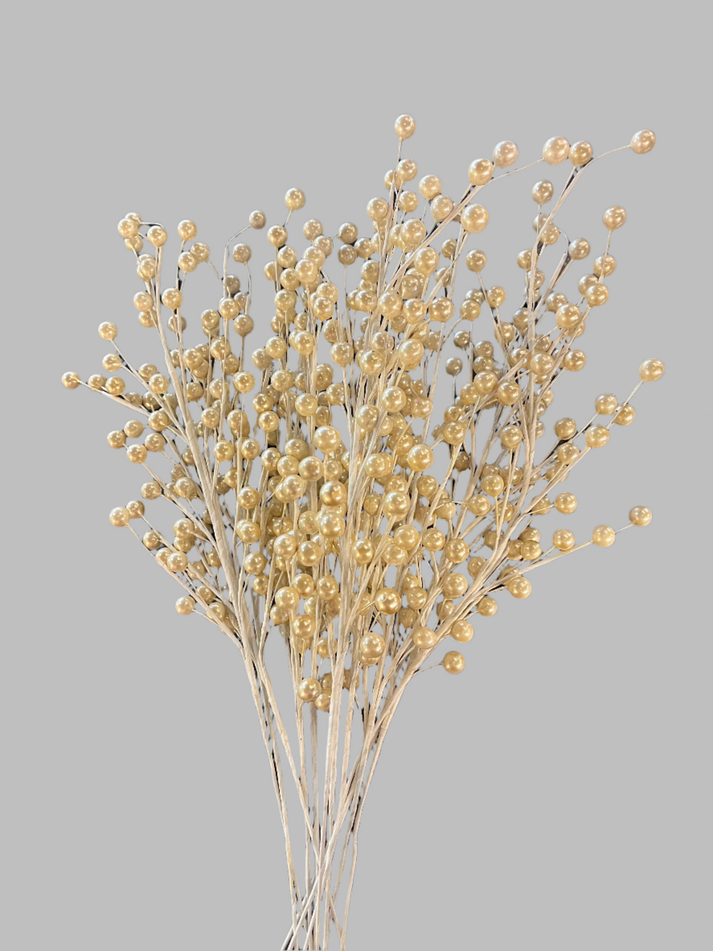 Cream Winterberries