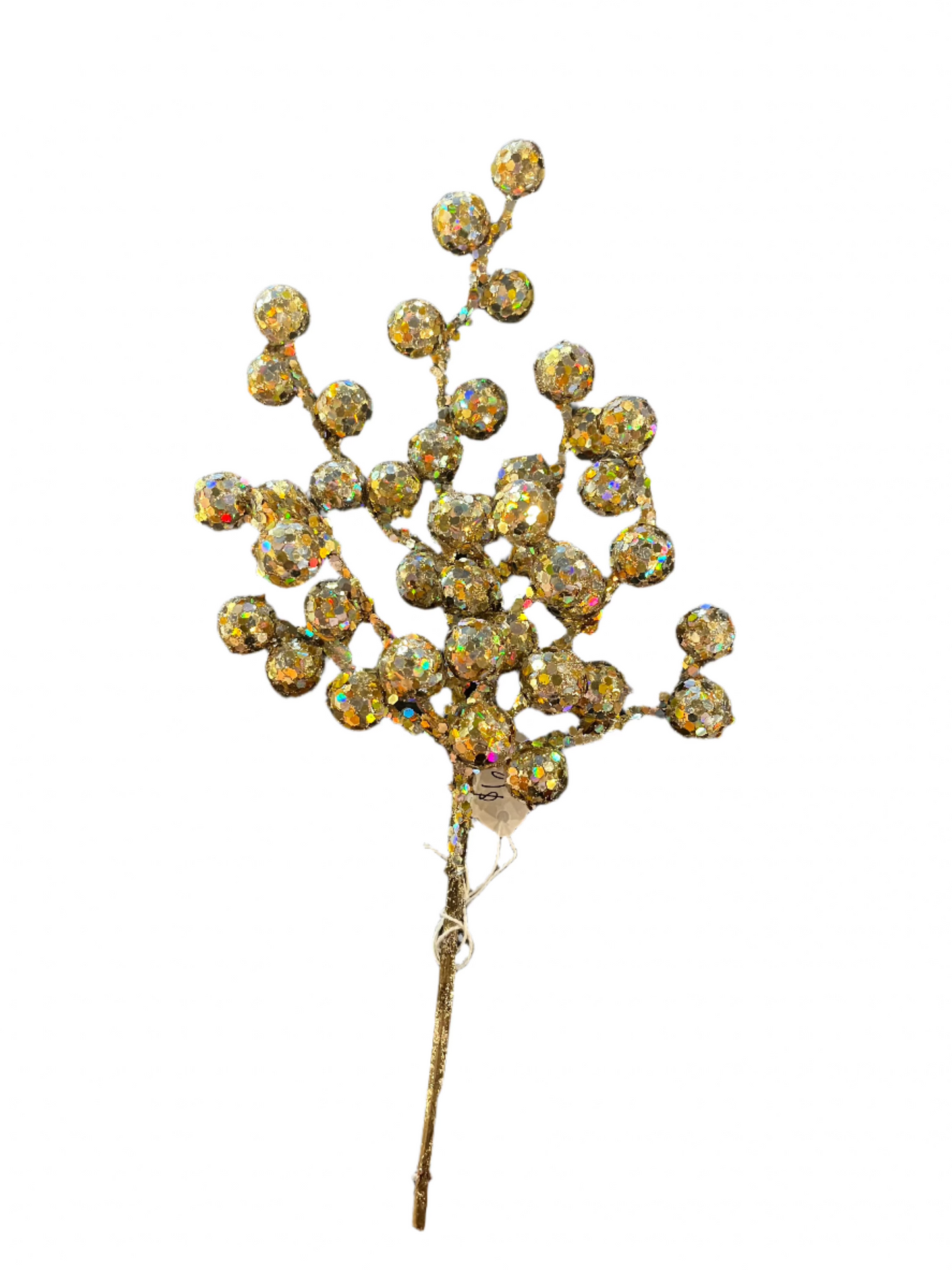 Winter Berries