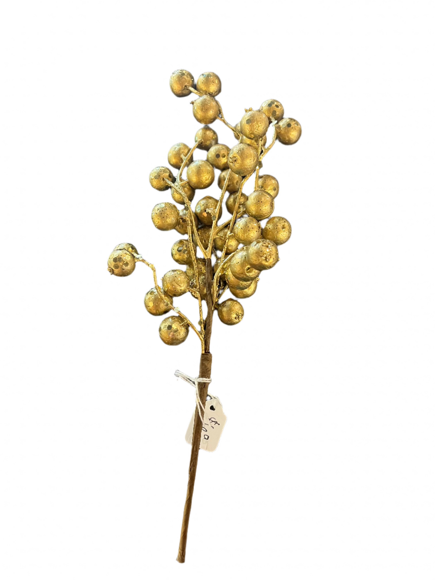 Winter Berries