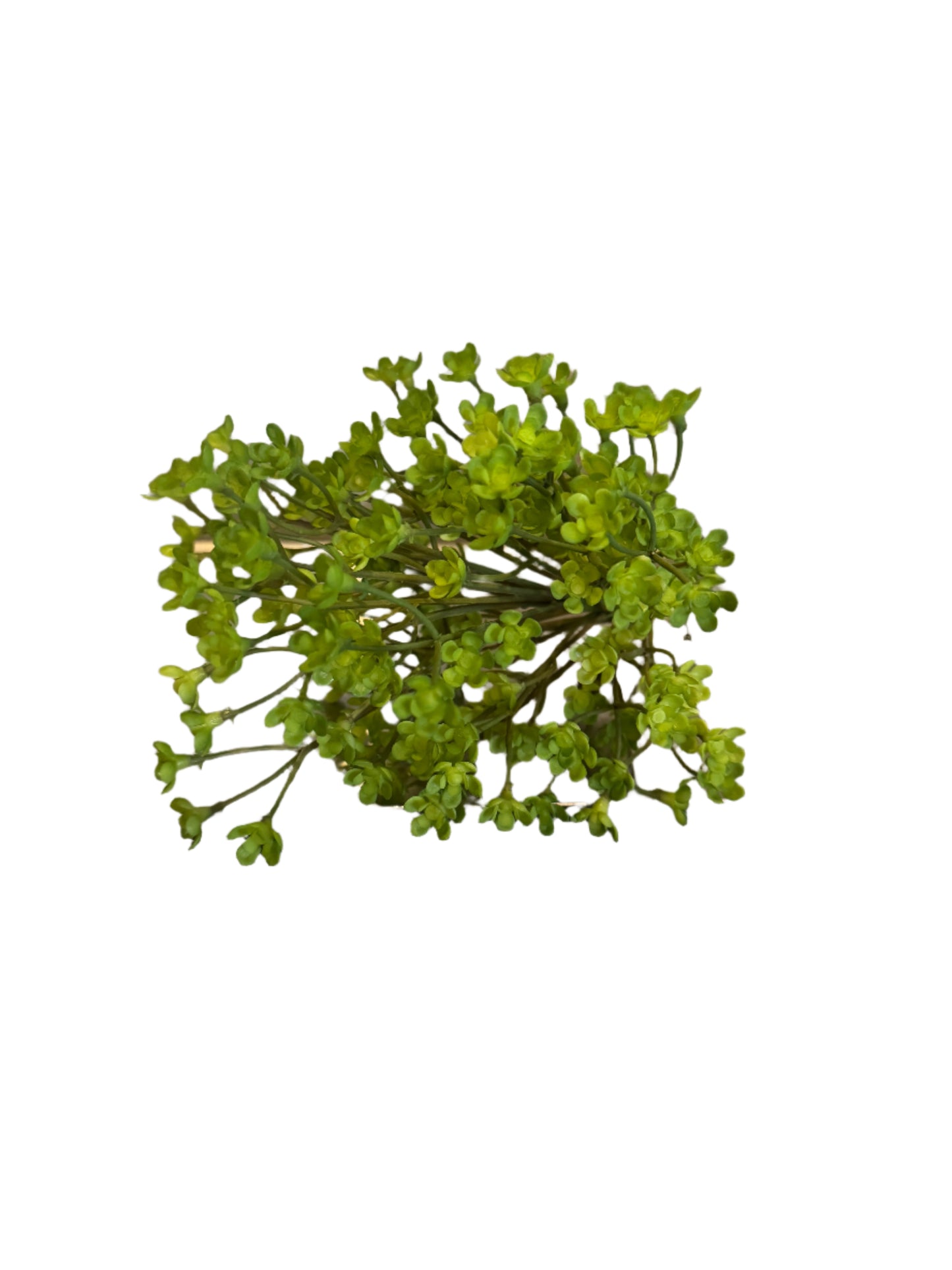 Mini Succulent Wildflower-Green