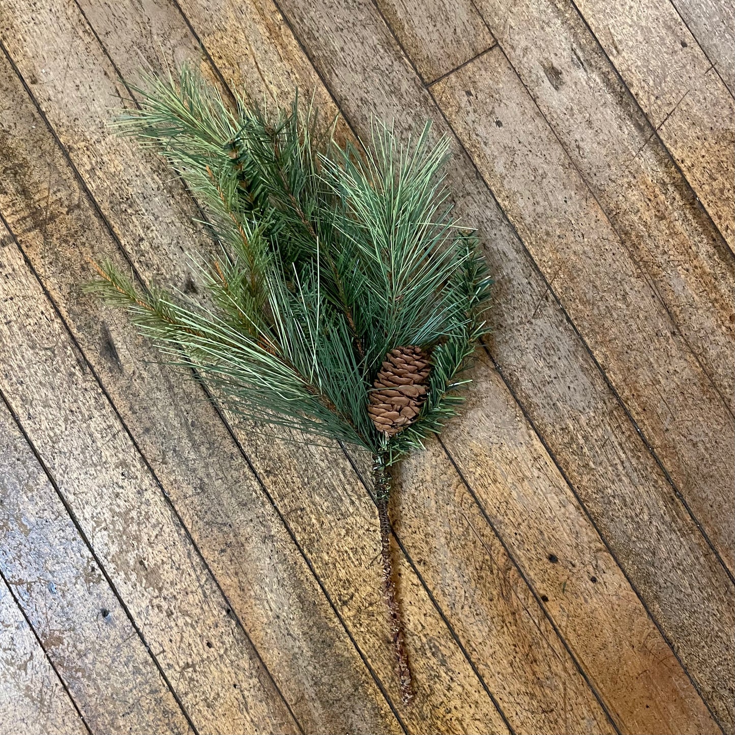 Mixed Pinecones