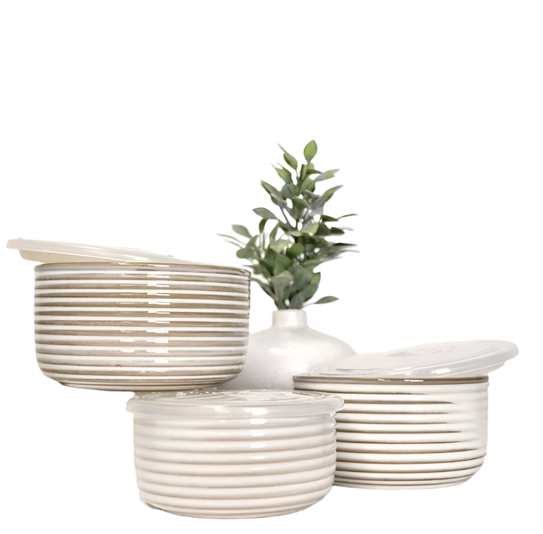 Stripe Dishes with Lids Set of 3