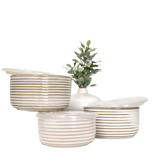 Stripe Dishes with Lids Set of 3
