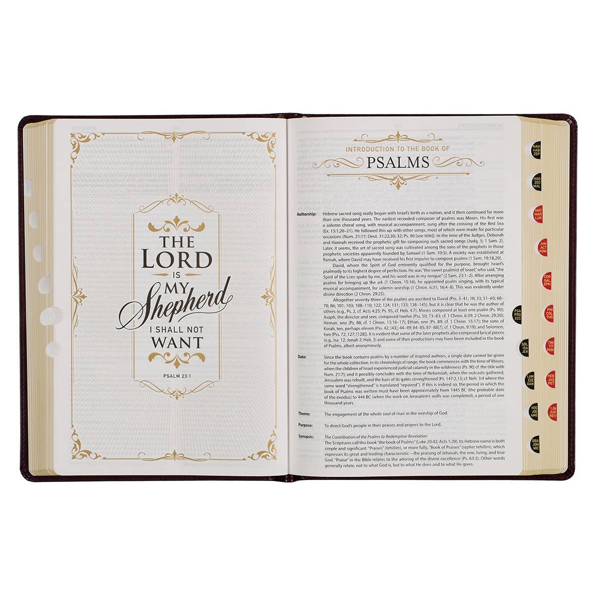 KJV Study Bible LP Faux Leather, Burgundy/Toffee