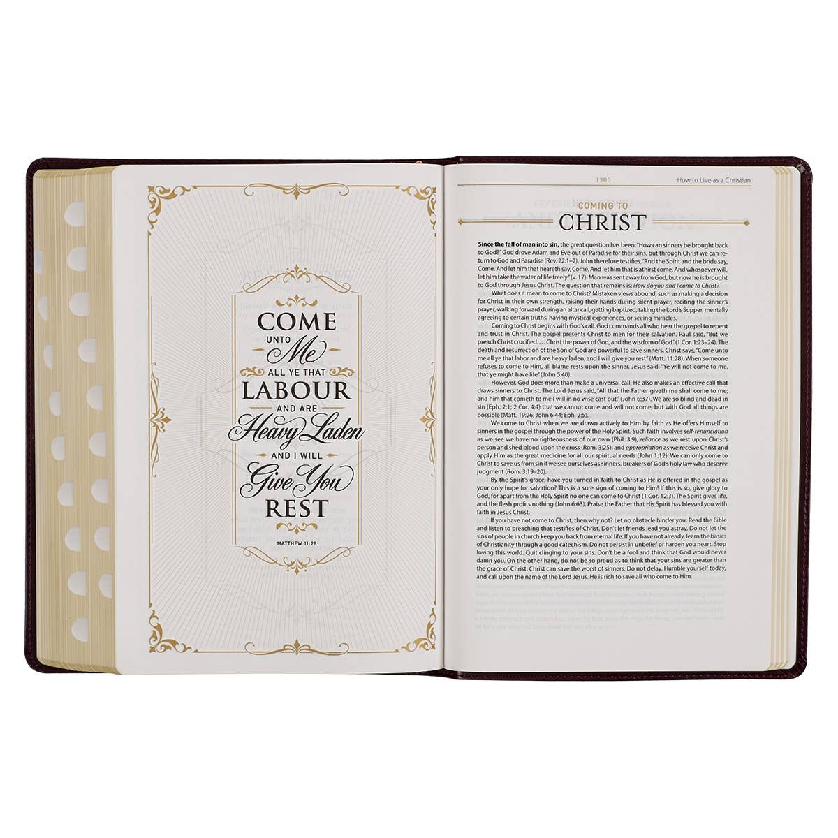 KJV Study Bible LP Faux Leather, Burgundy/Toffee