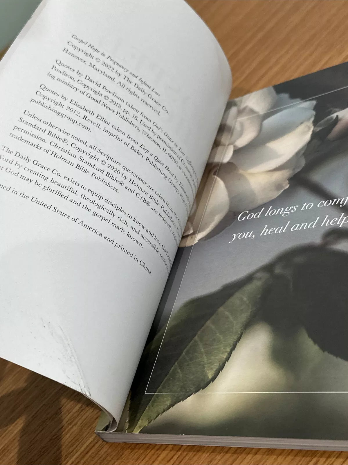 Gospel Hope in Pregnancy and Infant Loss