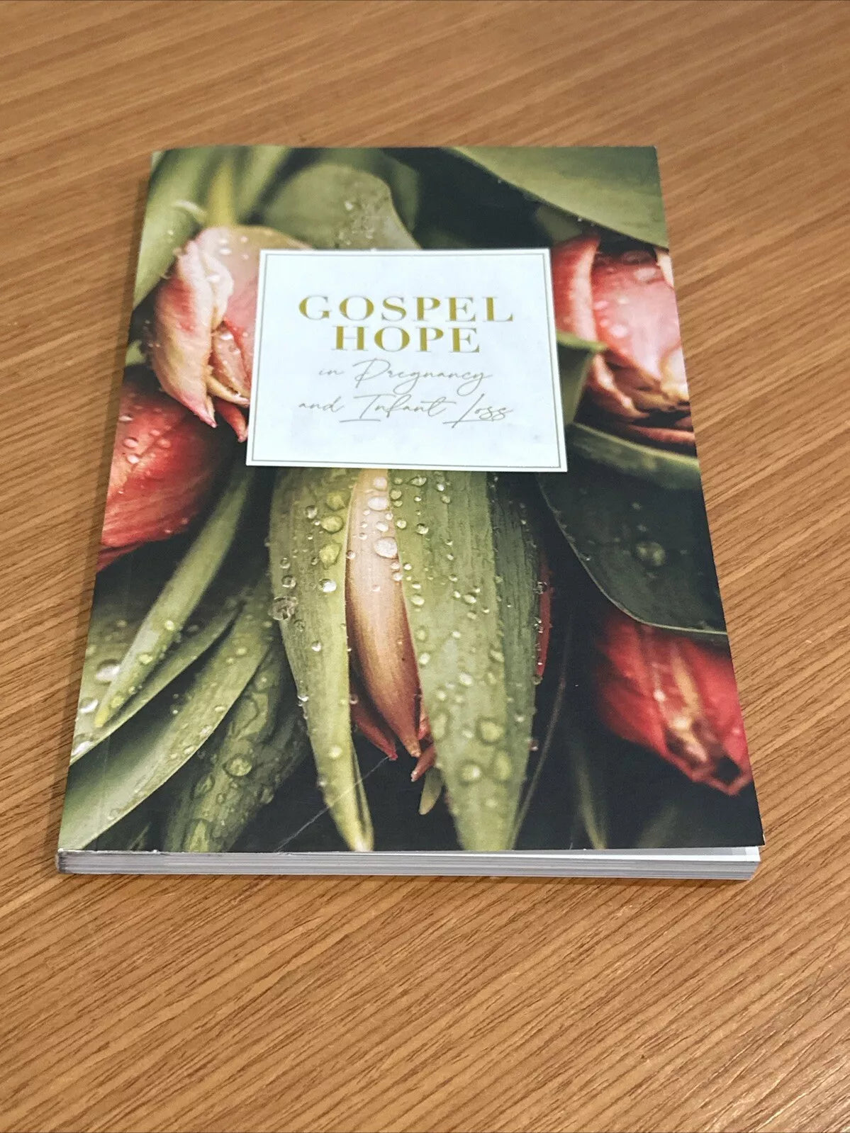 Gospel Hope in Pregnancy and Infant Loss