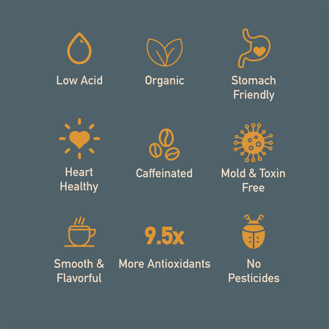 Healthy Bean Coffee - Espresso Whole Bean, Organic, Low Acid