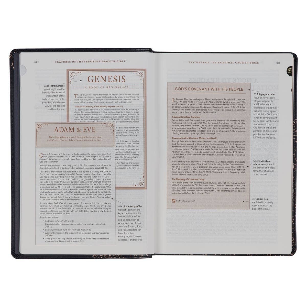 NLT, The Spiritual Growth Bible Faux Leather, Black Floral