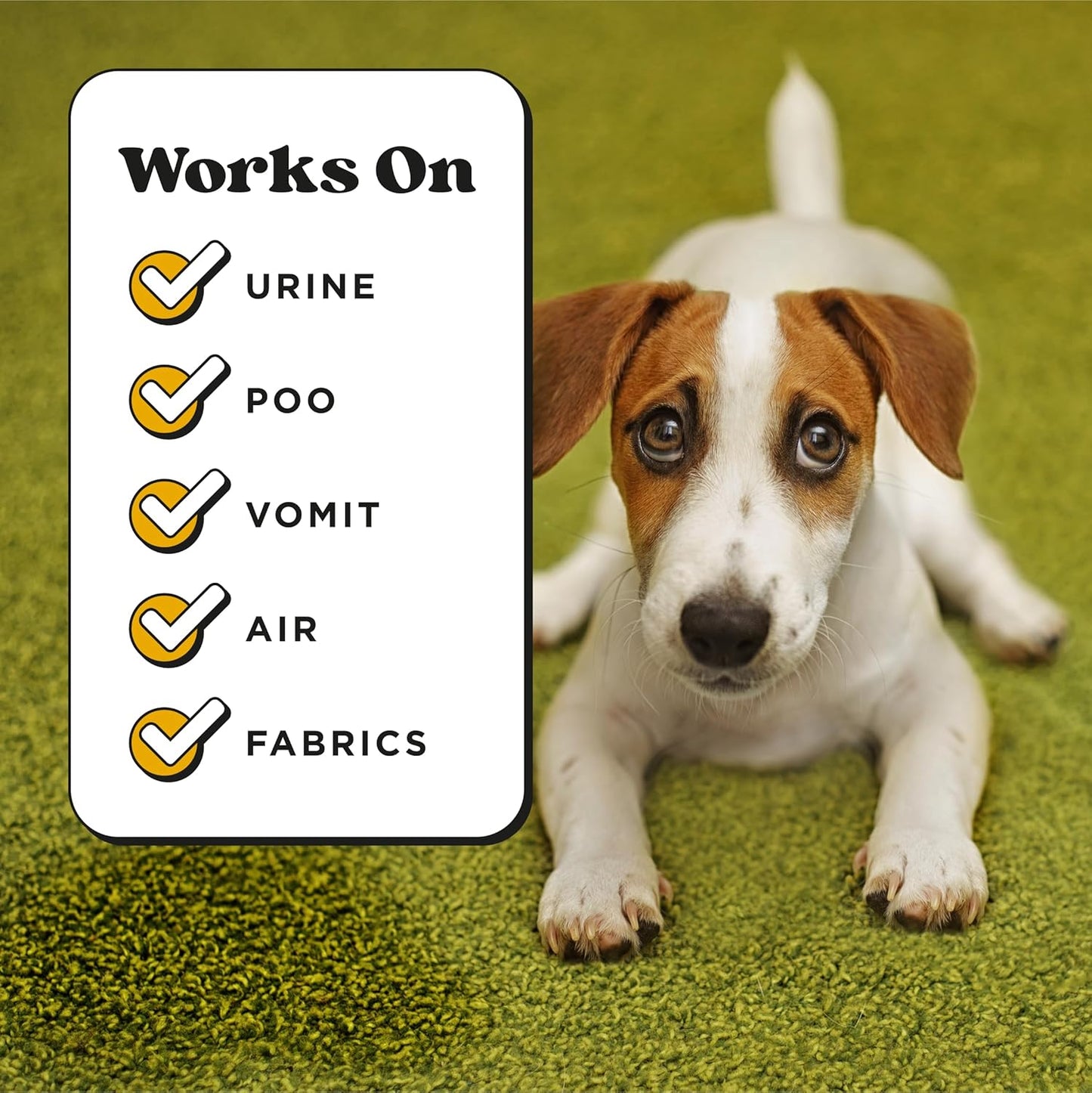 Pet-Pourri Pet Odor Air + Fabric Odor Freshener Spray, Canine Coconut