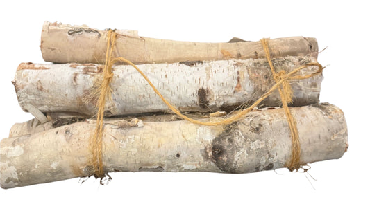 Birch Log Bundle