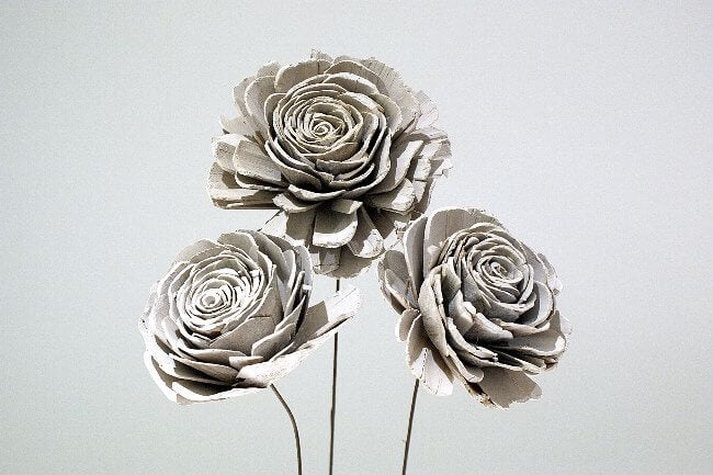 4"Sola Skin Rose White Wash
