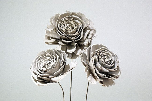 4"Sola Skin Rose White Wash