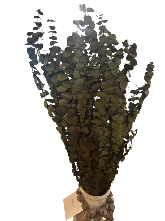 1-lb. Polished Eucalyptus/Basil Preserved