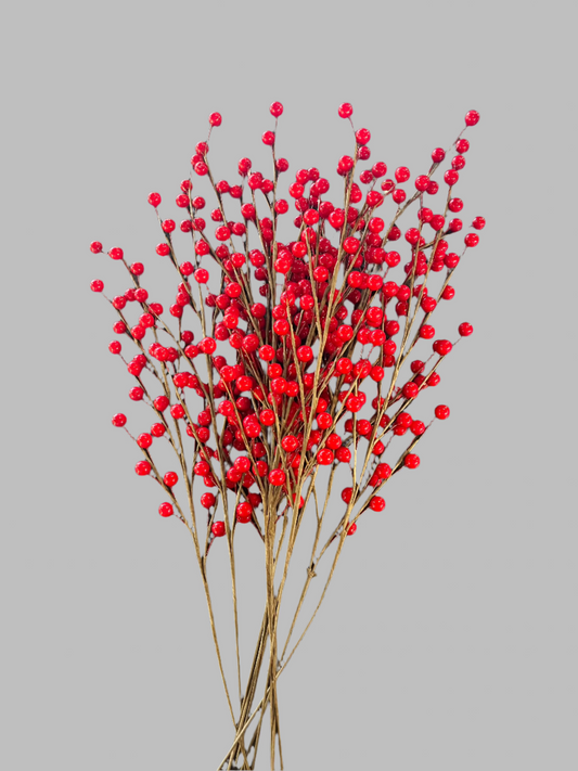 Red Winterberries