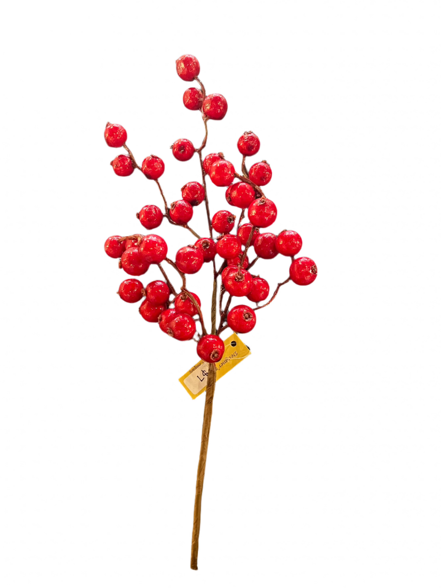 Red Crabapple