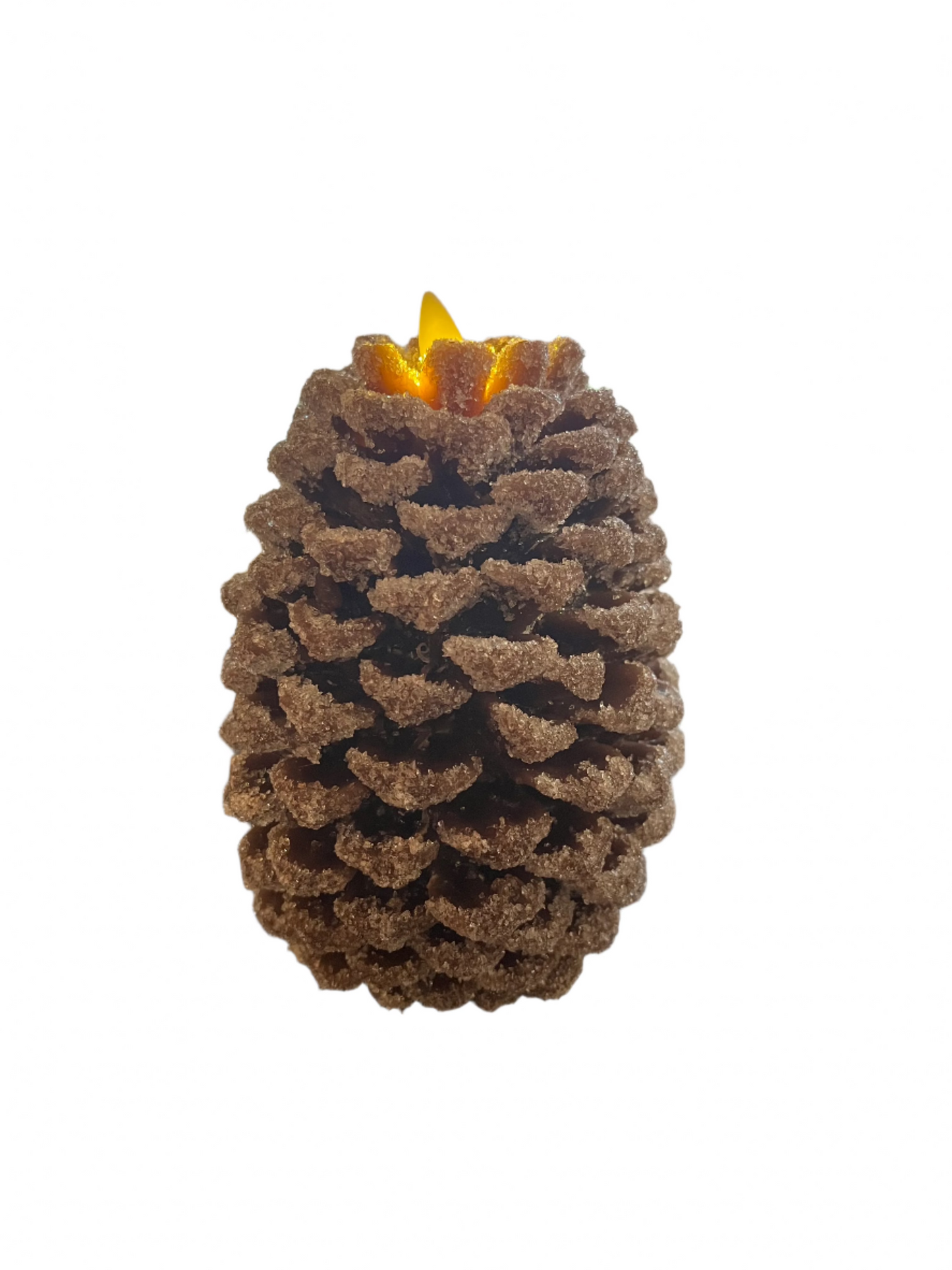 Brown Wax Snowy Pinecone Indoor