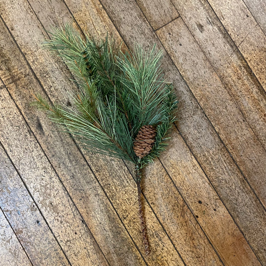 Mixed Pinecones