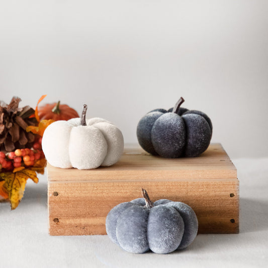 Cool Colored Mini Velvet Pumpkins