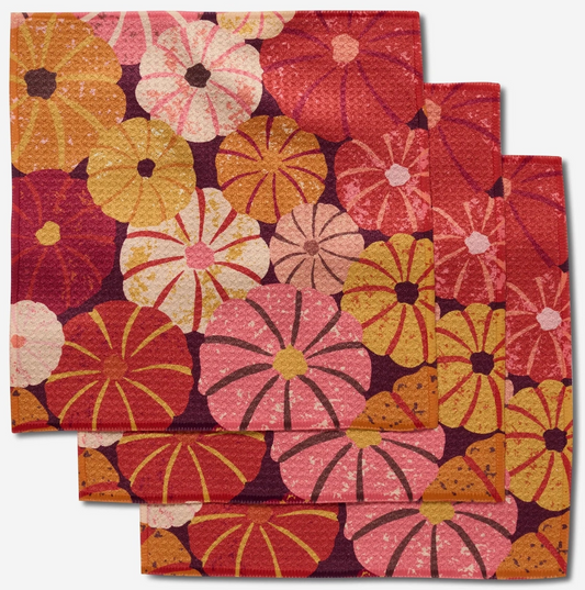 Spicy Pumpkins Dishcloth Set