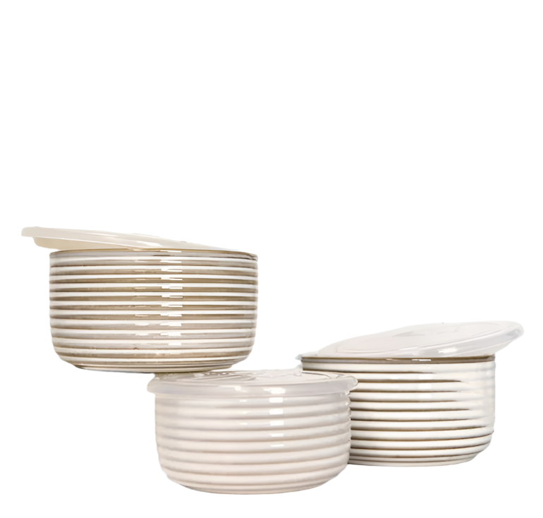 Stripe Dishes with Lids Set of 3