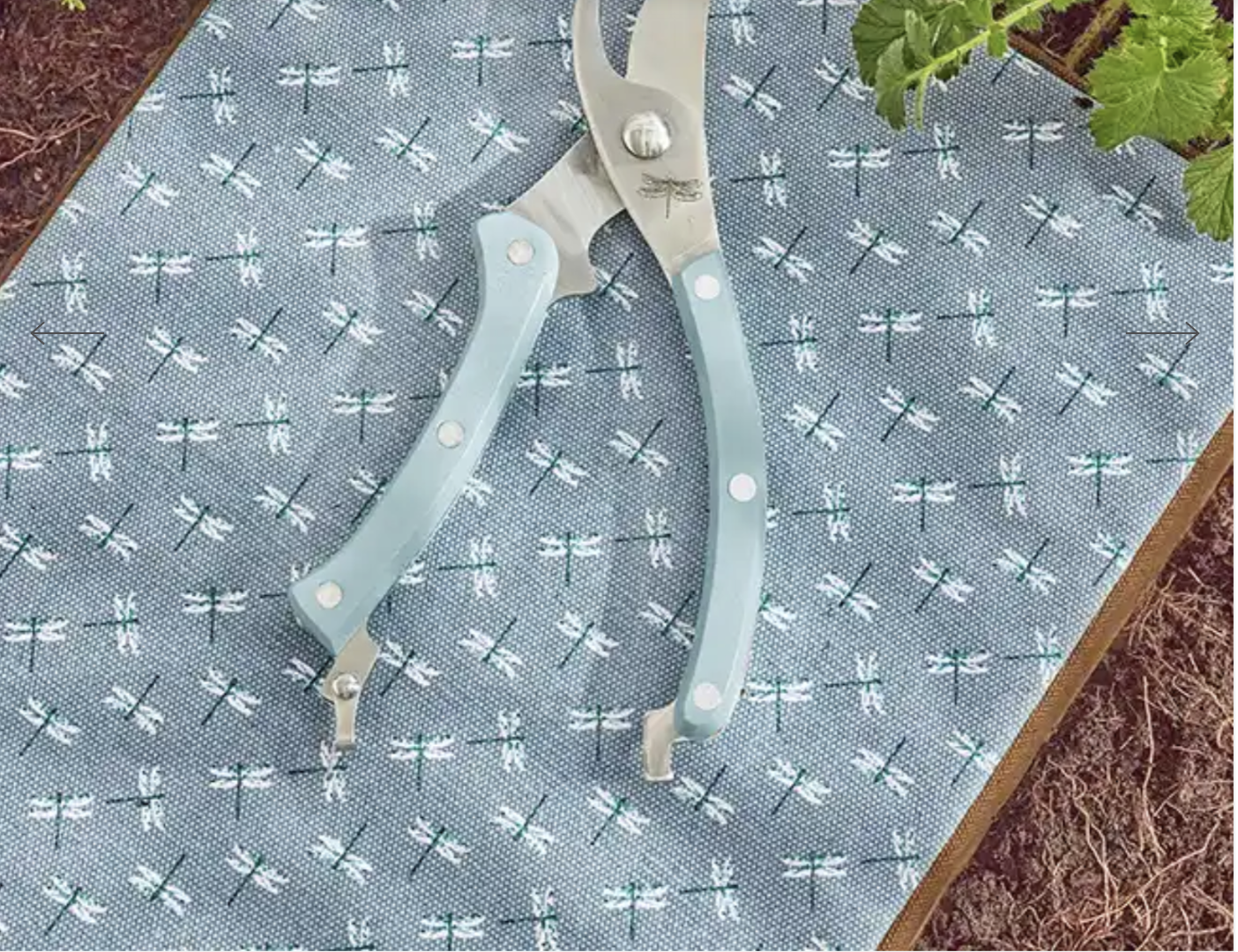 Dragonfly Garden Kneeler