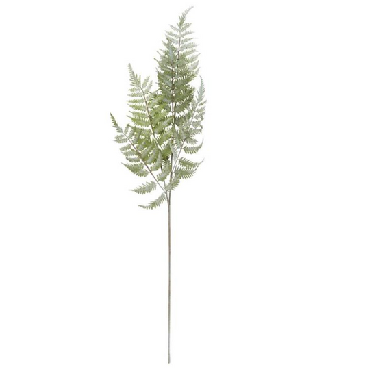 36 Inch Real Touch Ostrich Fern Stem