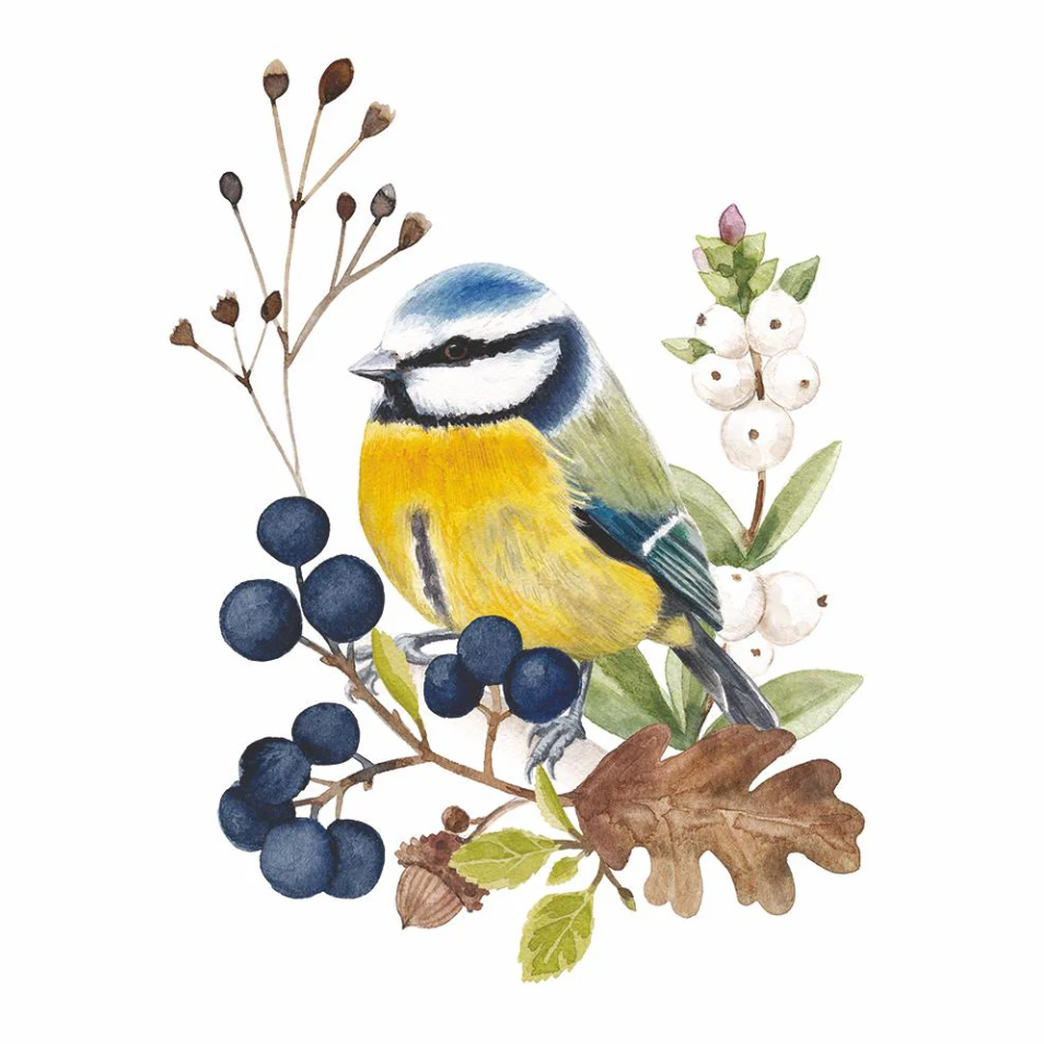 Oiseau En Nature (Bird In Nature )