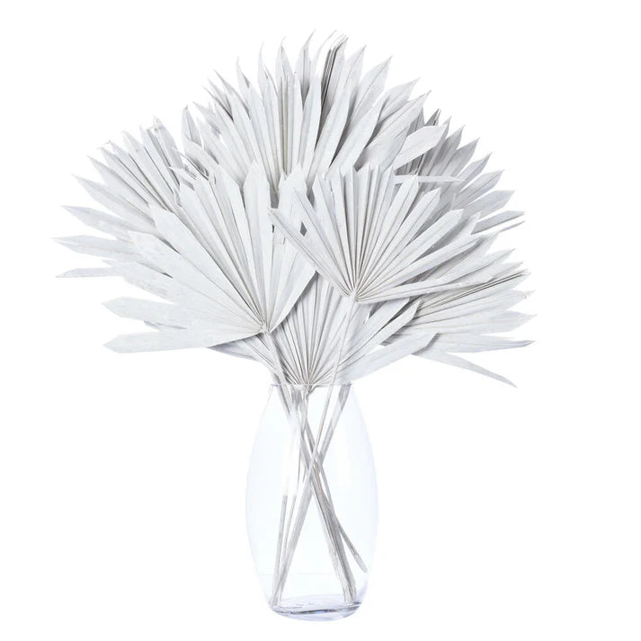 20” White Wash Palm Sun Spear