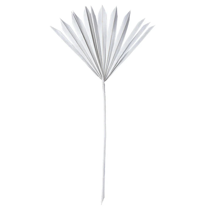 20” White Wash Palm Sun Spear