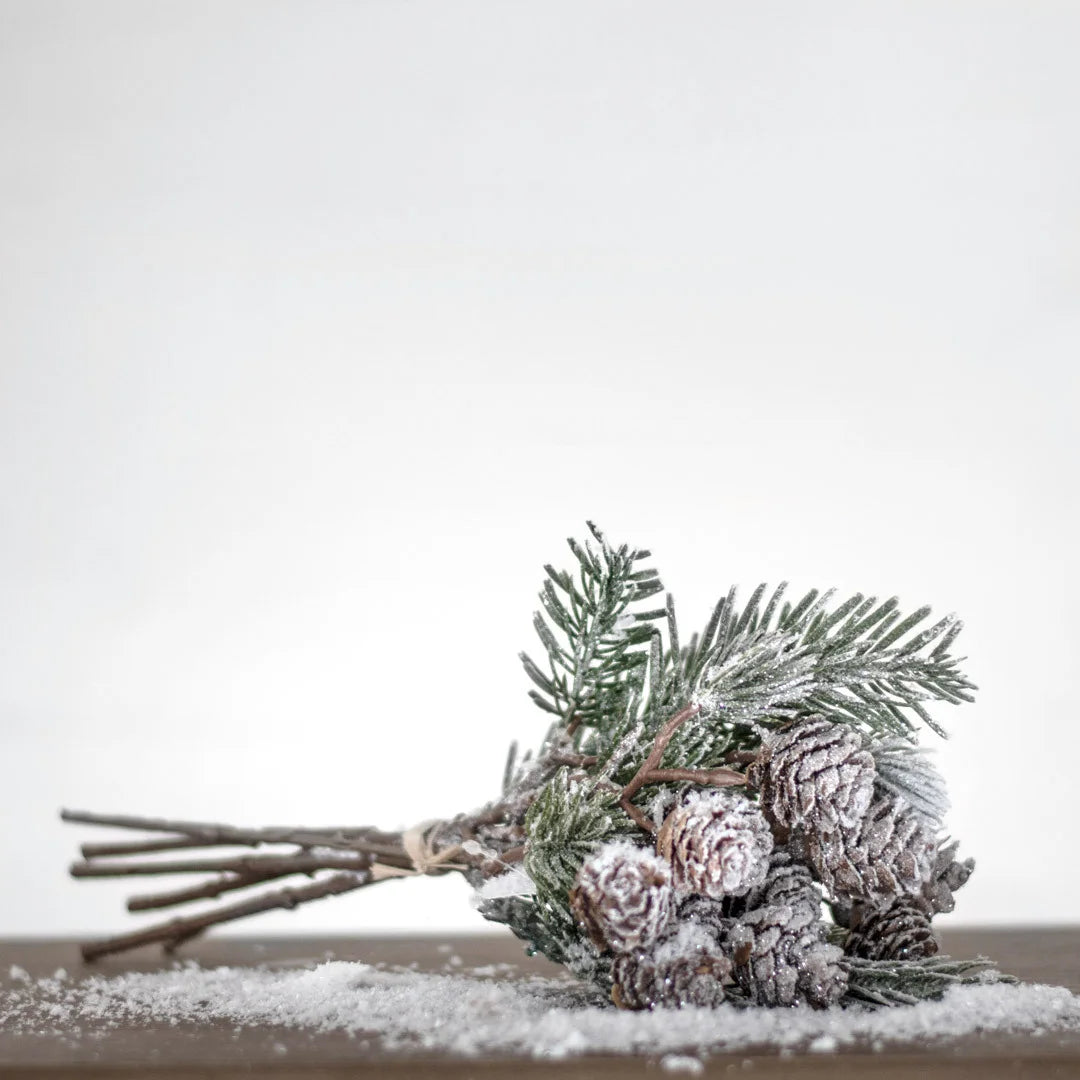 Pine Cone & Needle Bunch